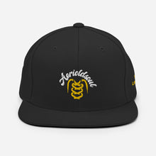 Load image into Gallery viewer, Snapback Hat
