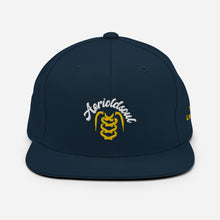 Load image into Gallery viewer, Snapback Hat
