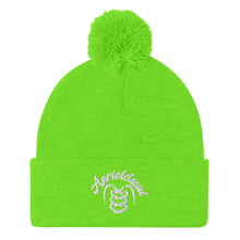 Load image into Gallery viewer, Pom-Pom Beanie
