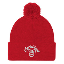 Load image into Gallery viewer, Pom-Pom Beanie
